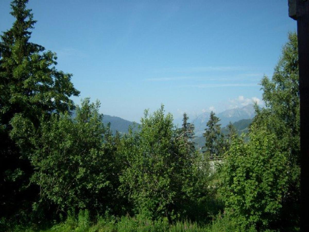 קרסט-וולאן Studio Cosy 4 Pers, Rdc, Sud, A 300M Des Pistes Et 250M Commerces, Bien Equipe, Animaux Admis. - Fr-1-733-116 מראה חיצוני תמונה